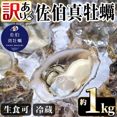 <訳あり>佐伯真牡蠣 鶴見産(約1kg) 【EW060】【(株)Up】