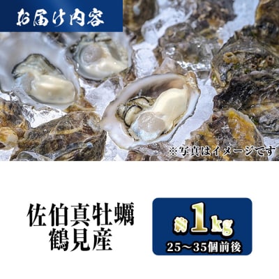 <訳あり>佐伯真牡蠣 鶴見産(約1kg) 【EW060】【(株)Up】