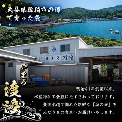 <定期便・全5回>職人直送 干物 定期便 (該当月にお届け) 