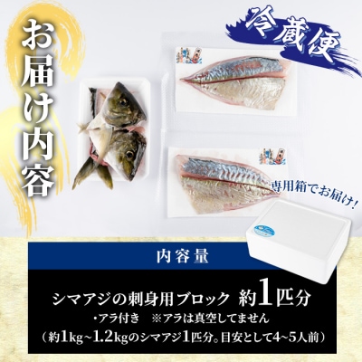 シマアジ 刺身用 ブロック 冷蔵(1匹分・4-5人前)