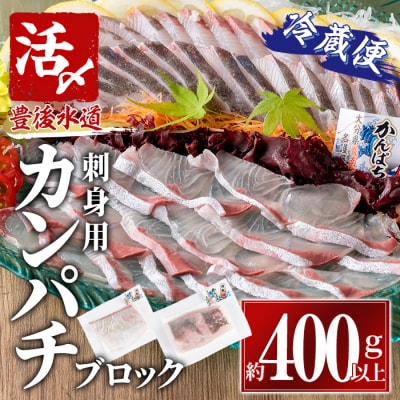 カンパチ 刺身用 ブロック 冷蔵(約400-500g・4-5人前)