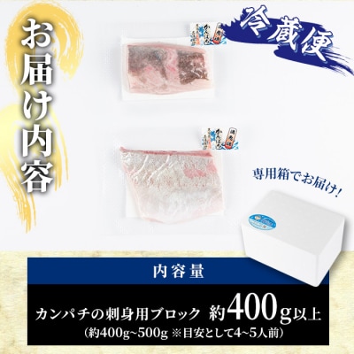 カンパチ 刺身用 ブロック 冷蔵(約400-500g・4-5人前)