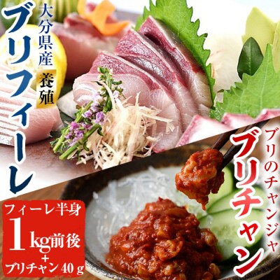 大分県産養殖ブリフィーレ(約1kg前後)とブリチャン(ブリのチャンジャ)お土産用(40g) セット