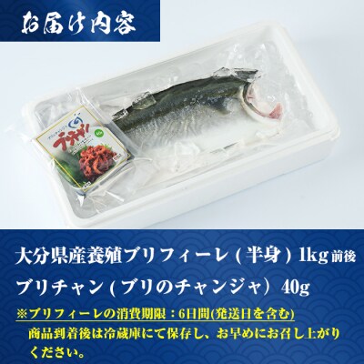 大分県産養殖ブリフィーレ(約1kg前後)とブリチャン(ブリのチャンジャ)お土産用(40g) セット