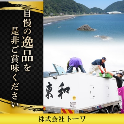 とらふぐ 唐揚げ セット (合計約1.1kg)