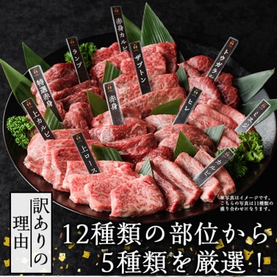 <訳あり>おおいた和牛お試し食べ比べ焼肉5種セット(合計350g・70g×5種)