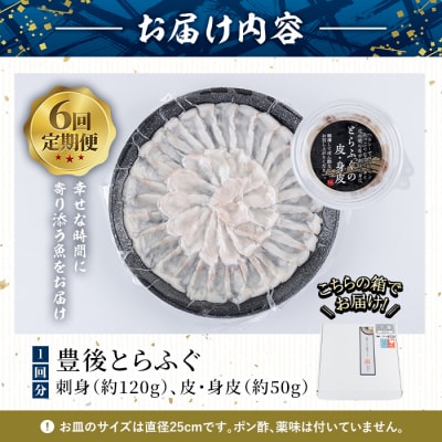 <定期便・全6回 (連続)>とらふぐ刺身 (総量約1kg・2-3人用×6回) 