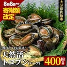 天然活きトコブシ (約400g・ハーフサイズ)