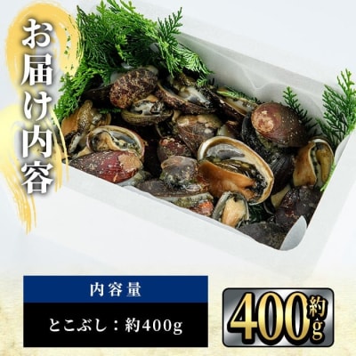 天然活きトコブシ (約400g・ハーフサイズ)