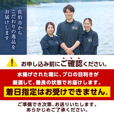 天然活きトコブシ (約400g・ハーフサイズ)