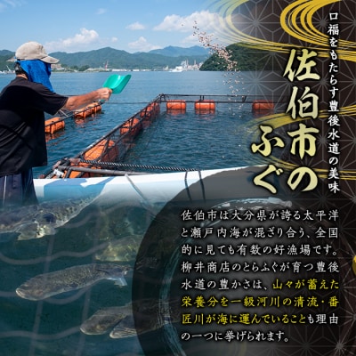 天然とらふぐ ちり鍋 唐揚げ用 (約400g) 数量限定