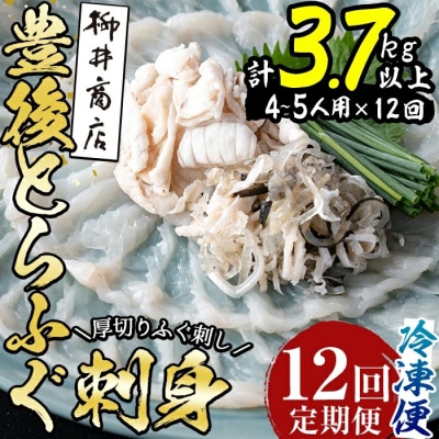 ＜定期便・全12回 (連続)＞とらふぐ刺身 (総量約3.7kg・4-5人用×12回)