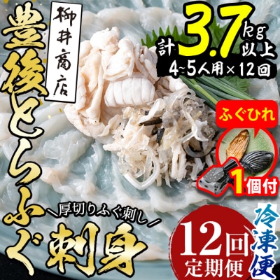 【期間限定・ふぐひれ付】<定期便・全12回 (連続)>とらふぐ刺身 (総量約3.7kg)