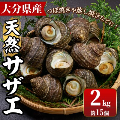 天然 サザエ (計約2kg・15個)