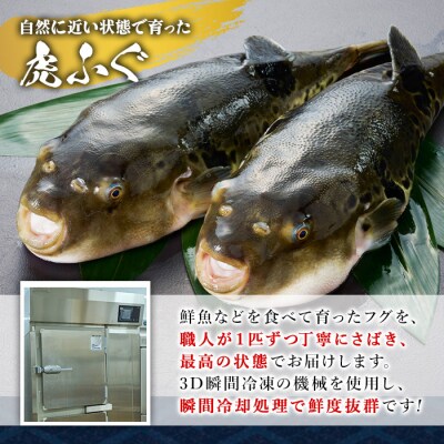 虎ふぐ刺身(4-5人前)