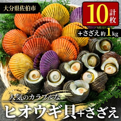ヒオウギ貝 (10枚)とサザエ (約1kg)