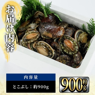 天然 トコブシ (約900g)