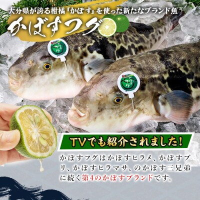 かぼすふぐセット(2-3人前)