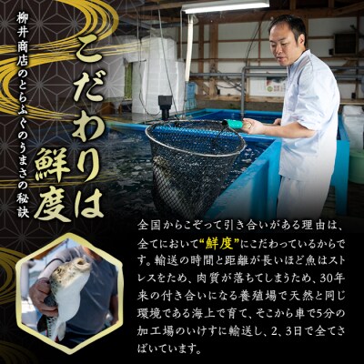 <定期便・全12回 (連続)>とらふぐ刺身 (総量約960g・1-2人用×12回) 