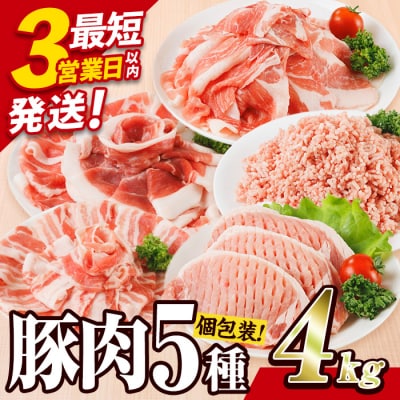 <1回配送> 豚肉 バラエティーパック (合計4kg) 