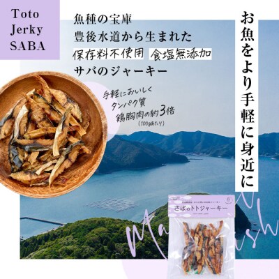 サバのトトジャーキー (計75g・25g×3袋)