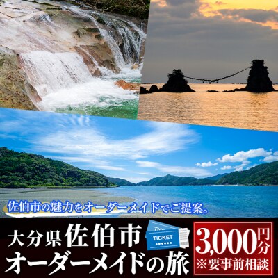 【大分県佐伯市】オリジナルオーダーメイドの旅(3000円分)