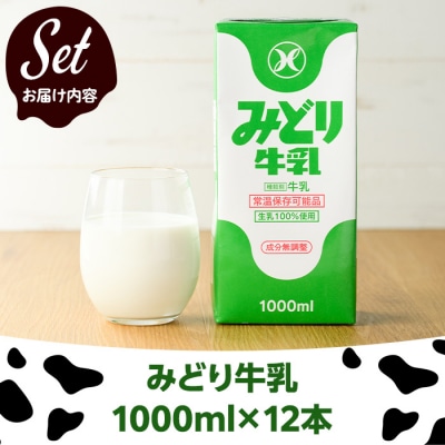 みどり牛乳(計12L・1000ml×12本)
