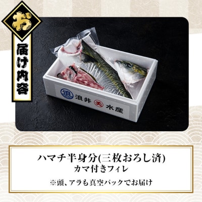 豊後ハマチ 若武者(三枚おろし半身)