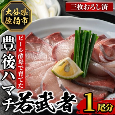 豊後ハマチ 若武者(三枚おろし済1尾)