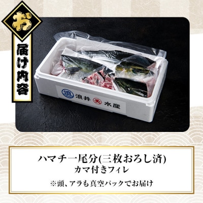 豊後ハマチ 若武者(三枚おろし済1尾)