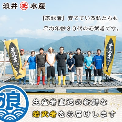 豊後ハマチ 若武者(三枚おろし済1尾)