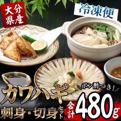 カワハギ 刺身・切身セット(刺身30g×2皿、肝・身皮10g×2皿、切身200g×2袋、ポン酢4個)