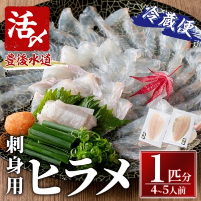 ヒラメ 刺身用 ブロック 冷蔵(1匹分・4-5人前) 
