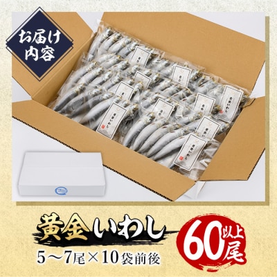 <訳あり>黄金いわし (60尾以上)