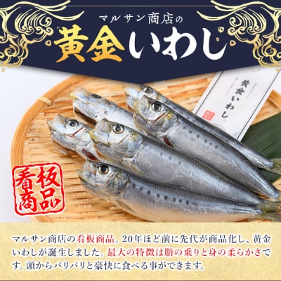 <訳あり>黄金いわし (60尾以上)