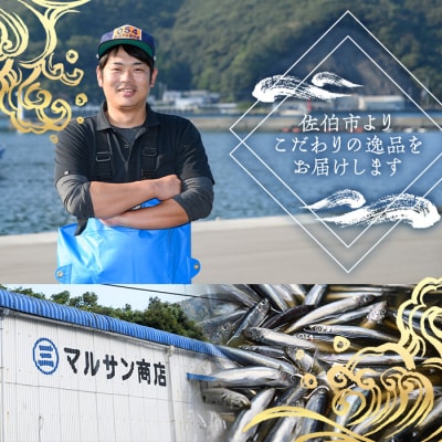 <訳あり>黄金いわし (60尾以上)