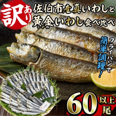 <訳あり>佐伯市産真いわしと黄金いわし 食べ比べ (2種・60尾以上)