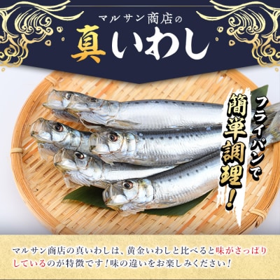 <訳あり>佐伯市産真いわしと黄金いわし 食べ比べ (2種・60尾以上)