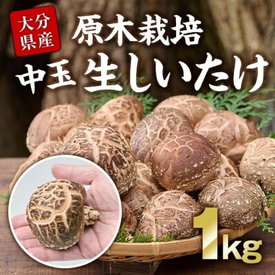 原木栽培の中玉生しいたけ(1kg)