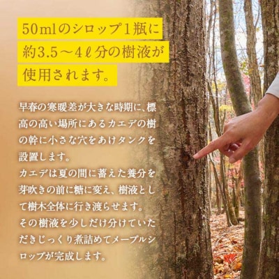 メープルシロップ サザンメイプル Southern Maple (70g×1個)