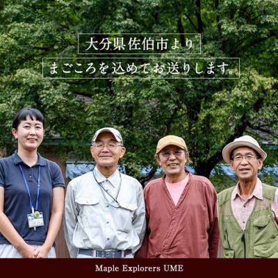 メープルシロップ サザンメイプル Southern Maple (70g×1個)