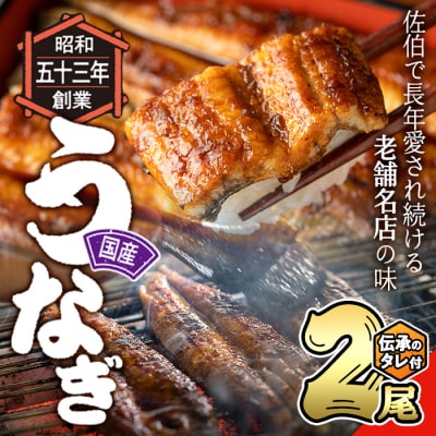 国産 うなぎ蒲焼 無頭(計2尾)