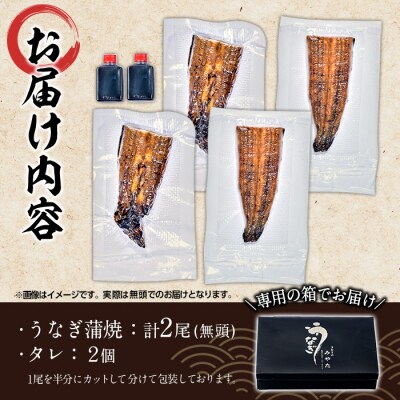 国産 うなぎ蒲焼 無頭(計2尾)