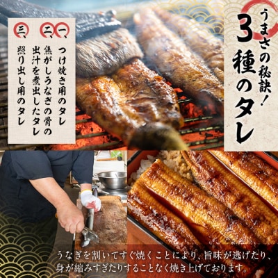 国産 うなぎ蒲焼 無頭(計2尾)