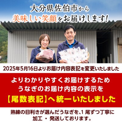 国産 うなぎ蒲焼 無頭(計2尾)