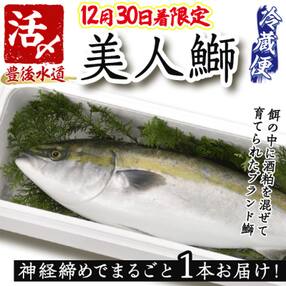 &lt;12/30着限定&gt;神経締めでまるごと1本お届け!美人鰤 (1本・約5kg)