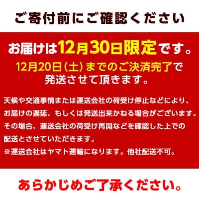 <12/30着限定>神経締めでまるごと1本お届け!美人鰤 (1本・約5kg)