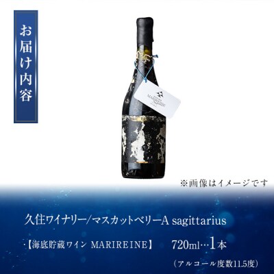 海底貯蔵ワイン赤MARIREINEマスカットベリーA sagittarius2022(720ml)
