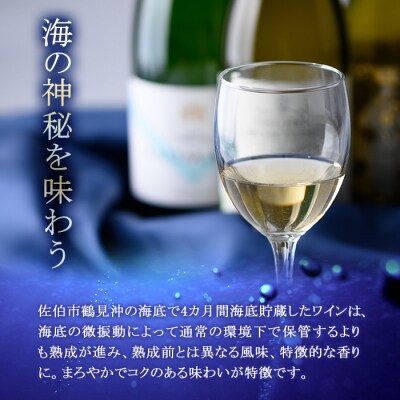 海底貯蔵ワイン 白 MARIREINE オーベルマチュ パルーザ ヴィオニエ2021(750ml)