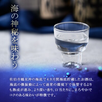 海底貯蔵 麦焼酎 ソムリエ厳選 香吟のささやき(720ml・各1本)